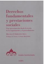 Imagen de portada del libro Derechos fundamentales y prestaciones sociales