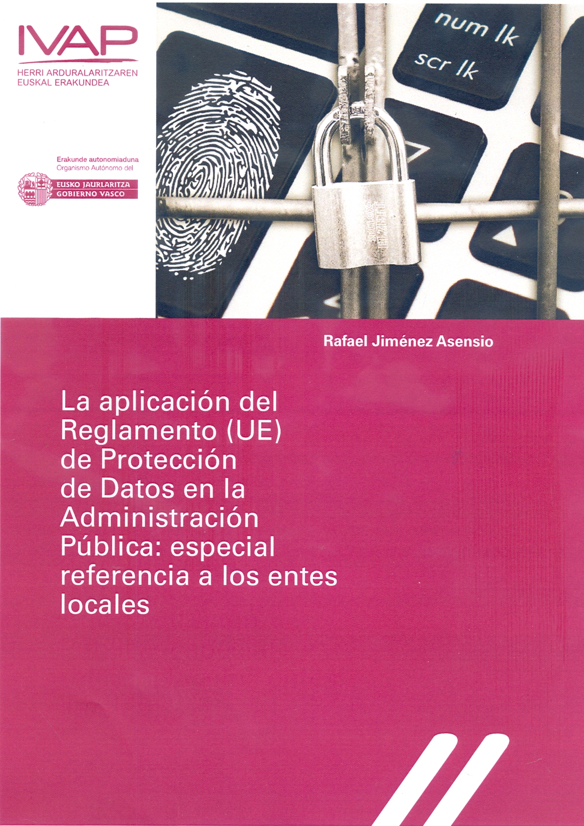 Imagen de portada del libro La aplicación del Reglamento (UE) de Protección de Datos en la Administración Pública