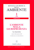Imagen de portada de la revista Rivista giuridica dell' ambiente